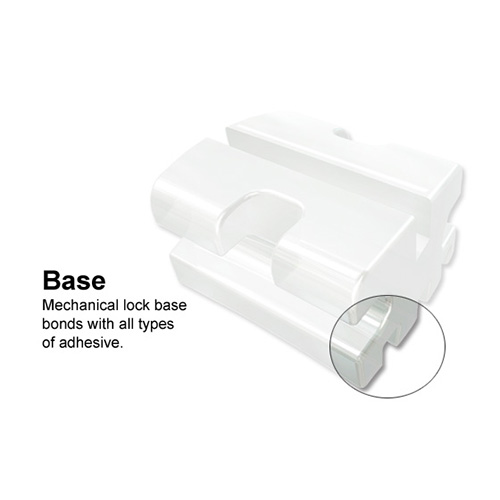 American Orthodontics