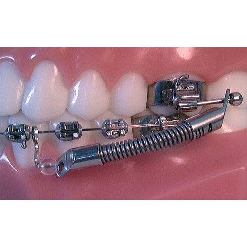 Jasper Jumper and Gentle Jumper