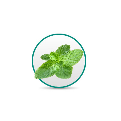 Sanctuary Dental Dam